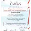 Powiększ obraz: certificate 2