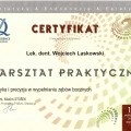 Powiększ obraz: certificate 21