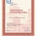 Powiększ obraz: certificate 10