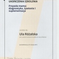 Powiększ obraz: certificate 21
