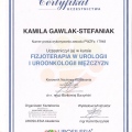 Powiększ obraz: certificate 9