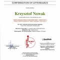 Powiększ obraz: certificate 13