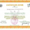 Powiększ obraz: certificate 10