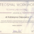 Powiększ obraz: certificate 19