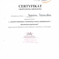 Powiększ obraz: certificate 4