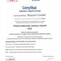 Powiększ obraz: certificate 6