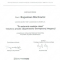 Powiększ obraz: certificate 7