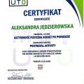 Powiększ obraz: certificate 7