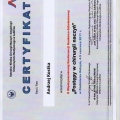 Powiększ obraz: certificate 7