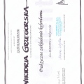 Powiększ obraz: certificate 11