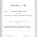 Powiększ obraz: certificate 16