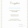 Powiększ obraz: certificate 12