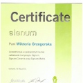 Powiększ obraz: certificate 16