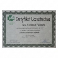 Powiększ obraz: certificate 4