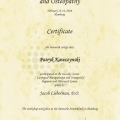 Powiększ obraz: certificate 16