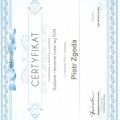 Powiększ obraz: certificate 6