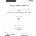 Powiększ obraz: certificate 6
