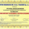 Powiększ obraz: certificate 5