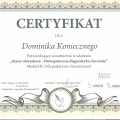 Powiększ obraz: certificate 10