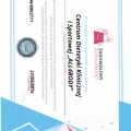 Powiększ obraz: certificate 24
