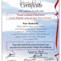 Powiększ obraz: certificate 2