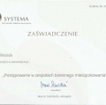Powiększ obraz: certificate 6