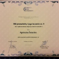 Powiększ obraz: certificate 7