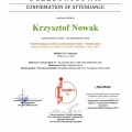 Powiększ obraz: certificate 8