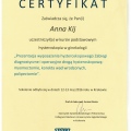 Powiększ obraz: certificate 3