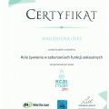 Powiększ obraz: certificate 45