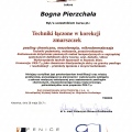 Powiększ obraz: certificate 13