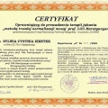 Powiększ obraz: certificate 1