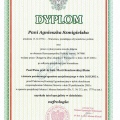 Powiększ obraz: certificate 3
