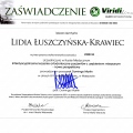 Powiększ obraz: certificate 33