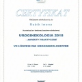 Powiększ obraz: certificate 20