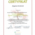 Powiększ obraz: certificate 19