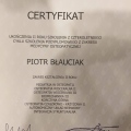 Powiększ obraz: certificate 4