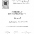 Powiększ obraz: certificate 1