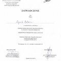 Powiększ obraz: certificate 26