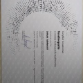 Powiększ obraz: certificate 11