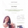 Powiększ obraz: certificate 2