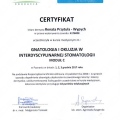 Powiększ obraz: certificate 19