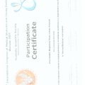 Powiększ obraz: certificate 9