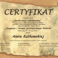Powiększ obraz: certificate 7