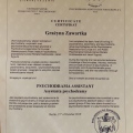 Powiększ obraz: certificate 1