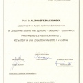 Powiększ obraz: certificate 13