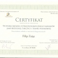 Powiększ obraz: certificate 31
