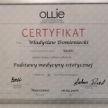 Powiększ obraz: certificate 3