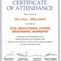 Powiększ obraz: certificate 5