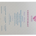 Powiększ obraz: certificate 7